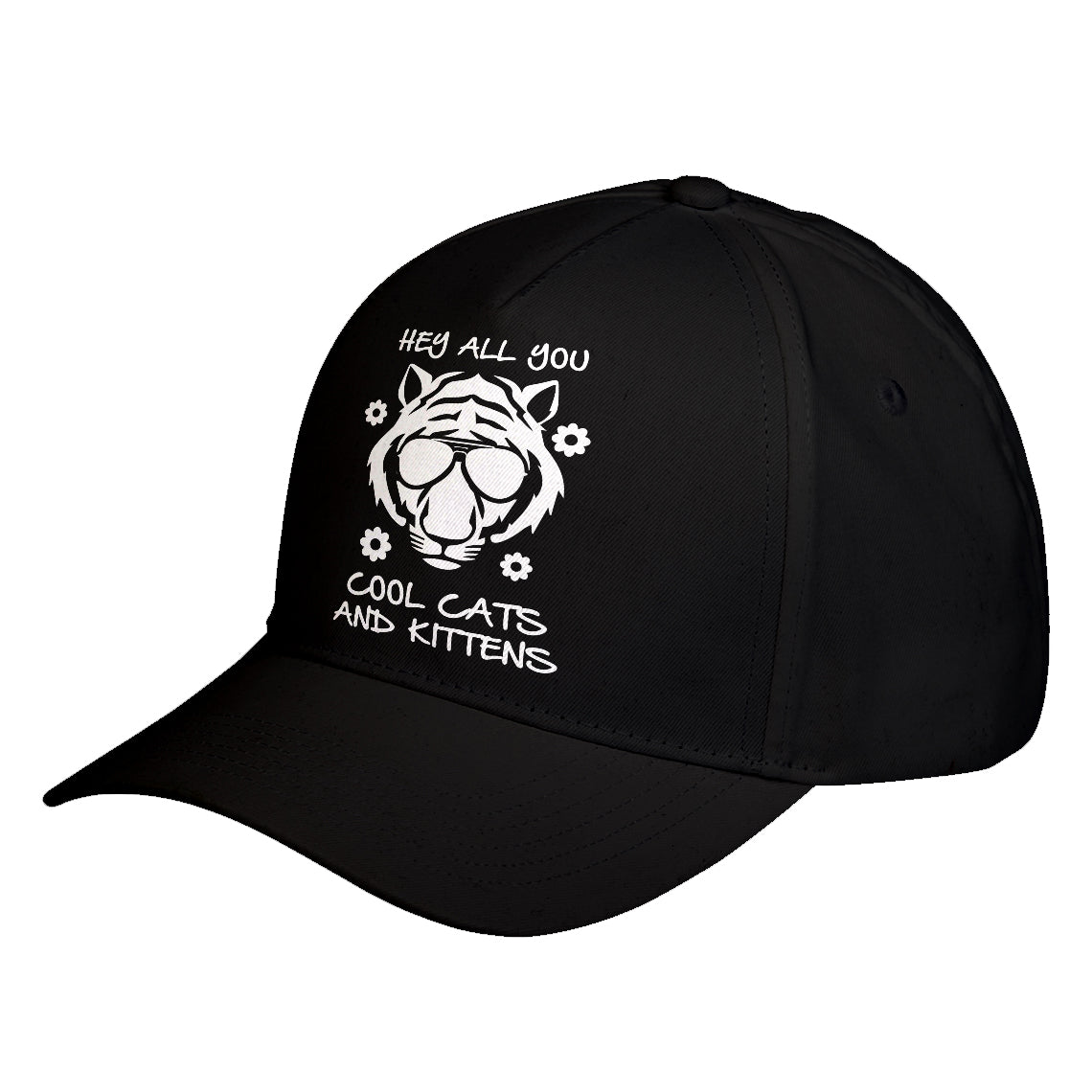 Hat Hey all you Cool Cats and Kittens Baseball Cap
