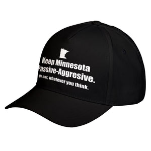 Hat Minnesota Baseball Cap