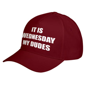 Hat It is Wednesday My Dudes Baseball Cap