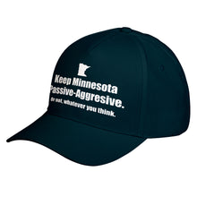 Hat Minnesota Baseball Cap