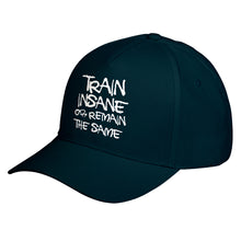 Hat Train Insane or Remain the Same Baseball Cap