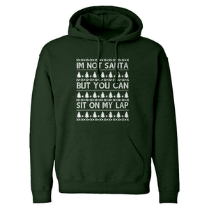 Hoodie Im Not Santa Unisex Adult Hoodie