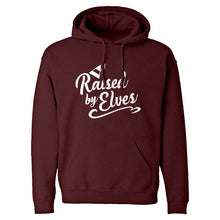 Raised by Elves Unisex Adult Hoodie