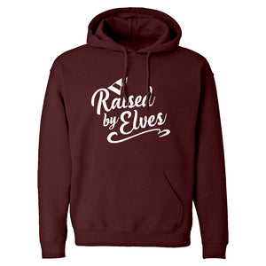 Raised by Elves Unisex Adult Hoodie