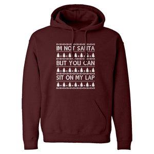 Hoodie Im Not Santa Unisex Adult Hoodie