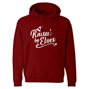 Raised by Elves Unisex Adult Hoodie