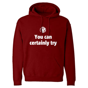 You Can Certainly Try DnD Unisex Adult Hoodie