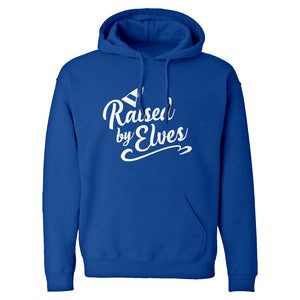 Raised by Elves Unisex Adult Hoodie