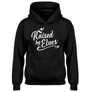 Youth Raised by Elves Kids Hoodie