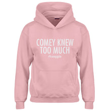 Hoodie Comey Knew Too Much Kids Hoodie