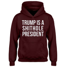 Hoodie Trump is a Shithole President Kids Hoodie