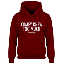 Hoodie Comey Knew Too Much Kids Hoodie