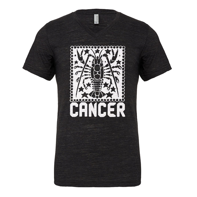 Mens Cancer Zodiac Astrology Vneck T-shirt