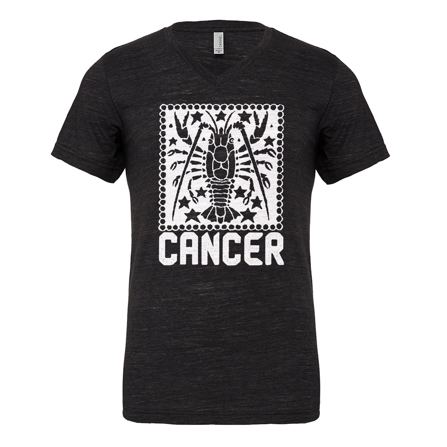 Mens Cancer Zodiac Astrology Vneck T-shirt