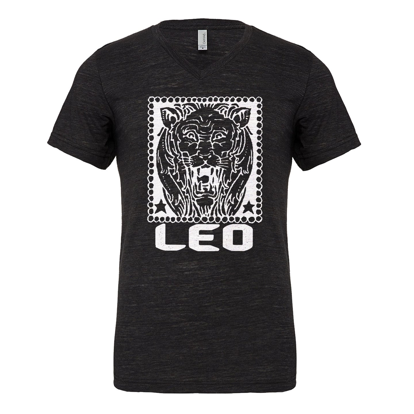 Mens Leo Zodiac Astrology Vneck T-shirt