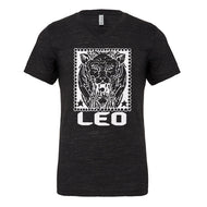 Mens Leo Zodiac Astrology Vneck T-shirt