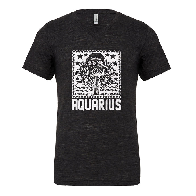 Mens Aquarius Zodiac Astrology Vneck T-shirt