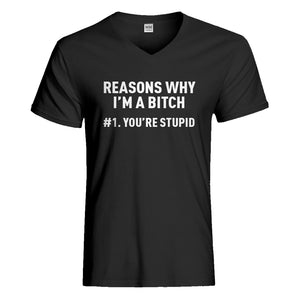 Mens Reasons Why You're Stupid Vneck T-shirt