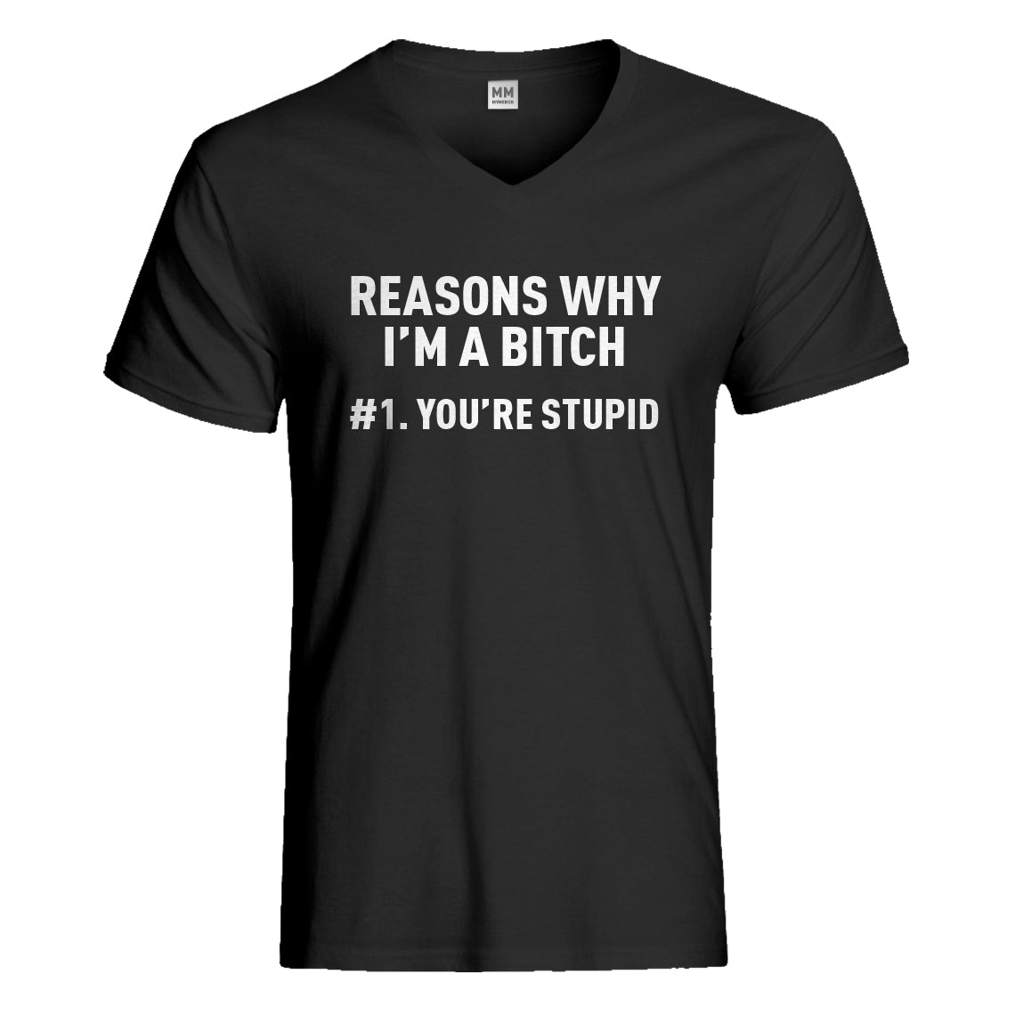 Mens Reasons Why You're Stupid Vneck T-shirt