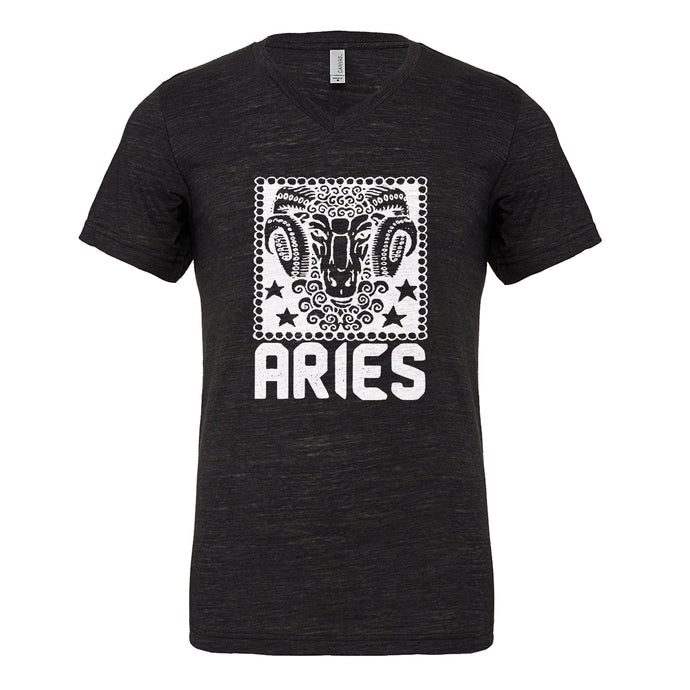 Mens Aries Zodiac Astrology Vneck T-shirt