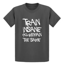 Youth Train Insane or Remain the Same Kids T-shirt