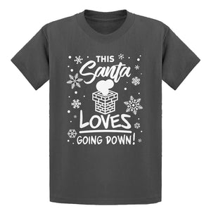 Youth This Santa Loves Going Down Kids T-shirt