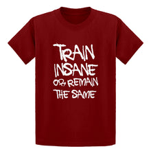 Youth Train Insane or Remain the Same Kids T-shirt