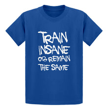 Youth Train Insane or Remain the Same Kids T-shirt